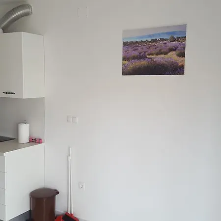 Apartment Pastuovic